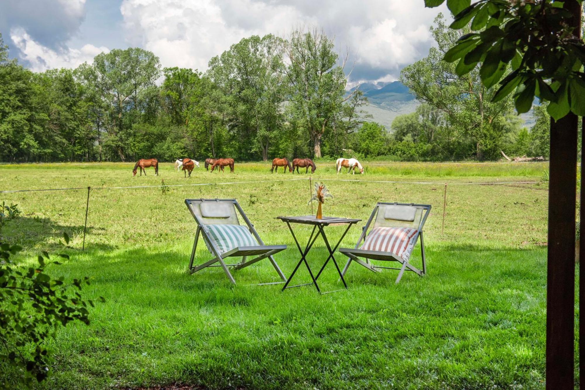 Mas Sant Marc Pension Puigcerdà Kamer foto